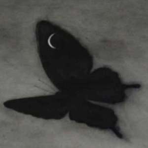 国产精品无限视频三区
