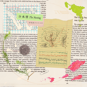 国产精品无限视频三区
