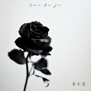 国产精品无限视频三区
