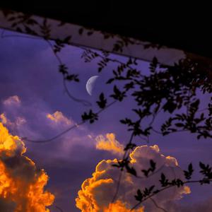 国产精品无限视频三区
