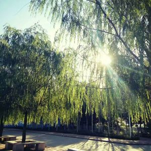 国产精品无限视频三区
